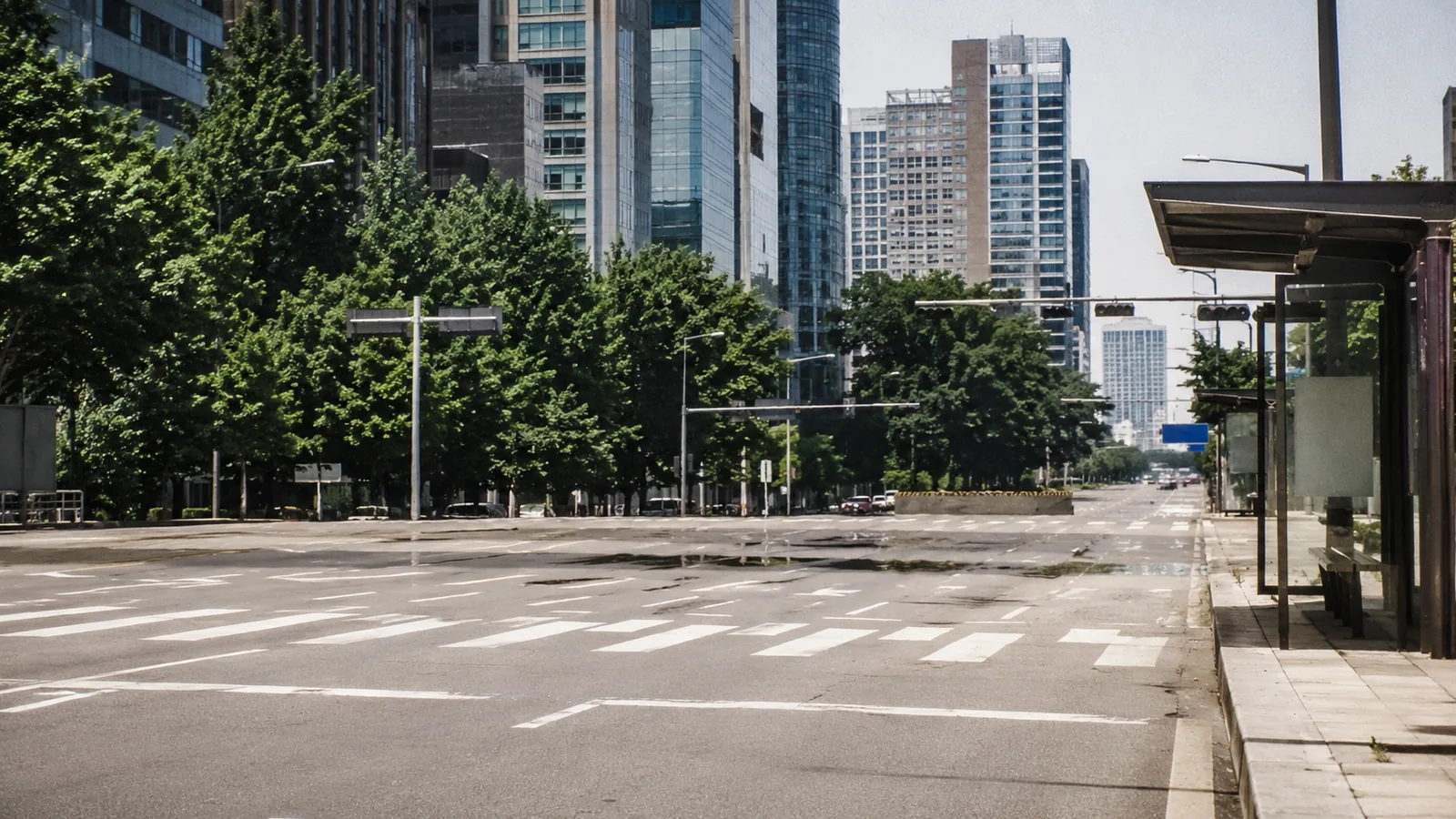 A Seoul street in extreme heat — shimmer rising from empty asphalt